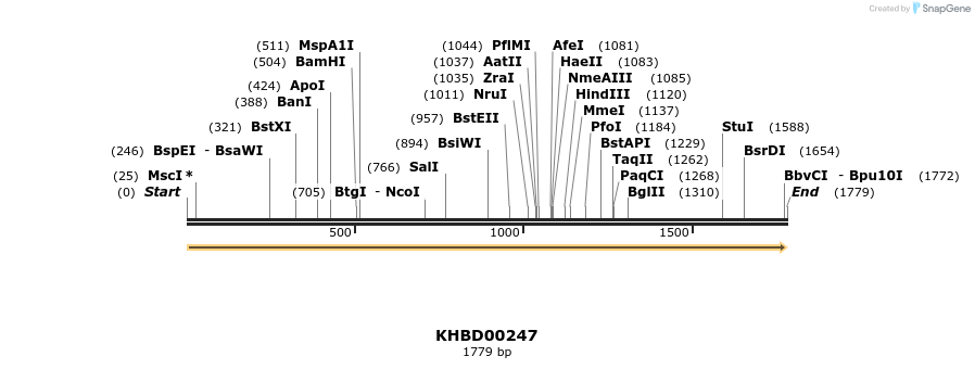 40949_map