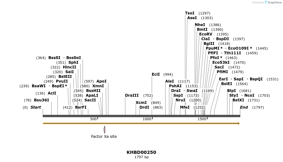 40950_map