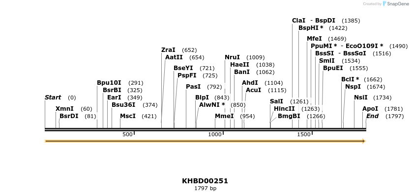 40951_map
