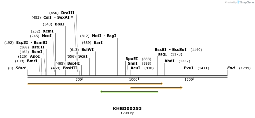 40952_map