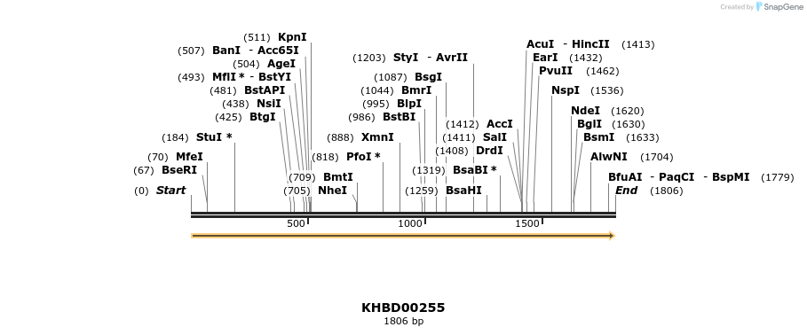40954_map