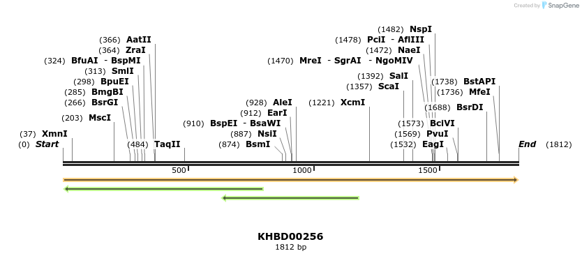 40955_map