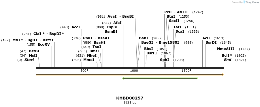 40956_map