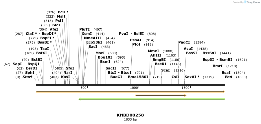 40957_map