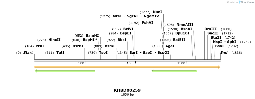 40958_map