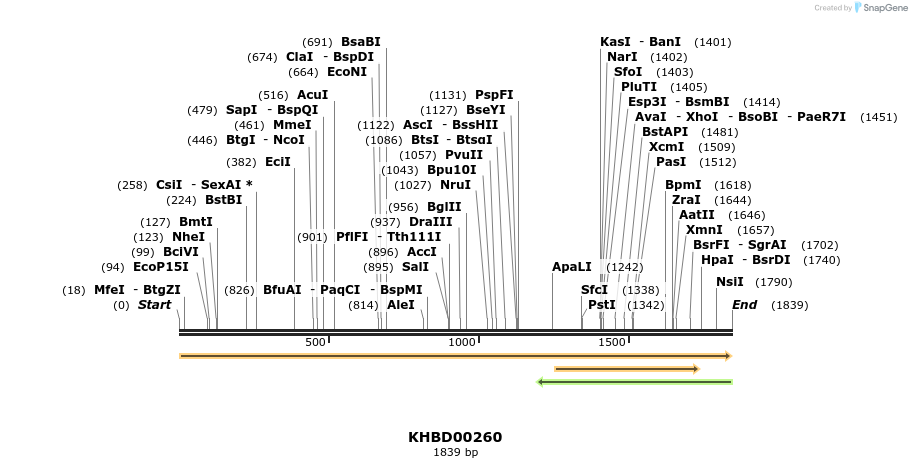 40959_map