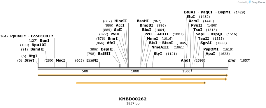 40960_map