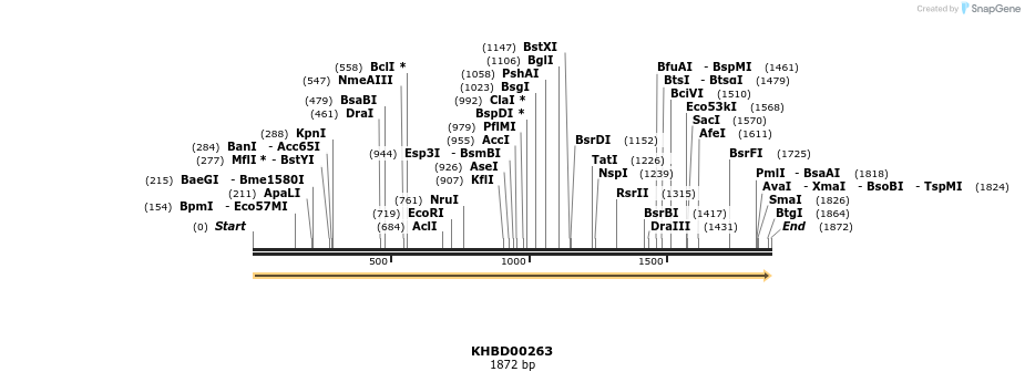 40961_map