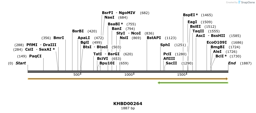 40962_map