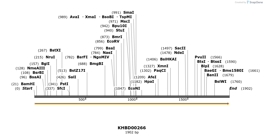 40963_map