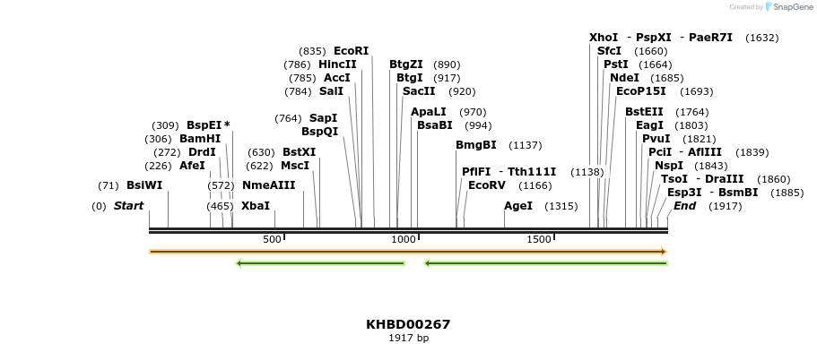 40964_map