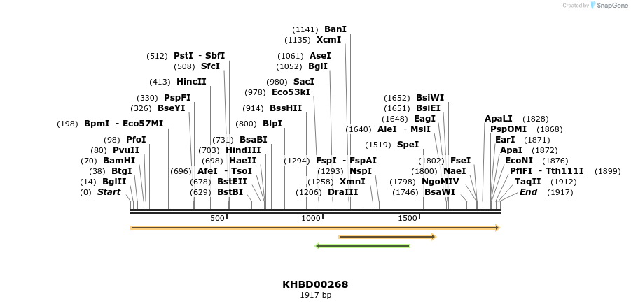 40965_map