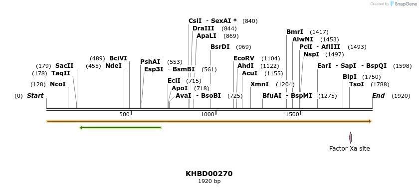 40966_map