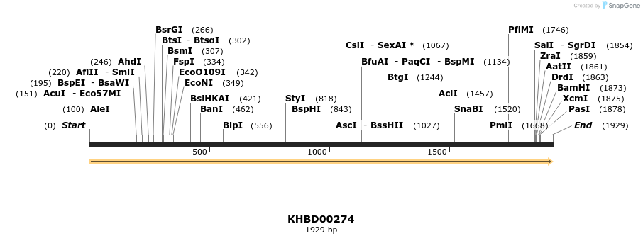 40969_map