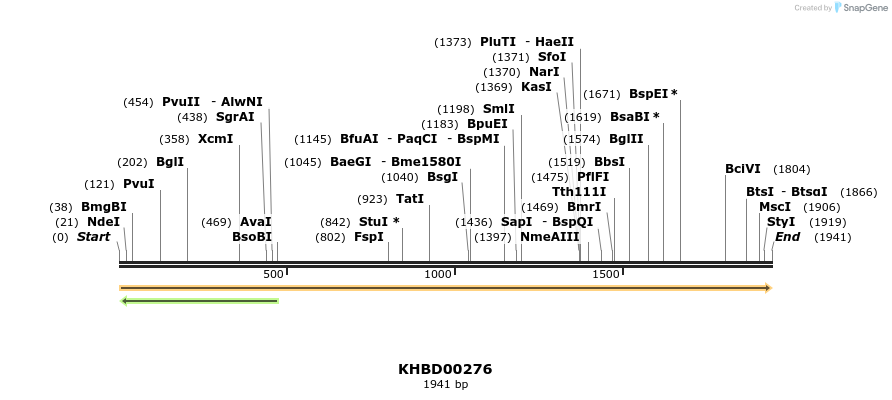 40970_map