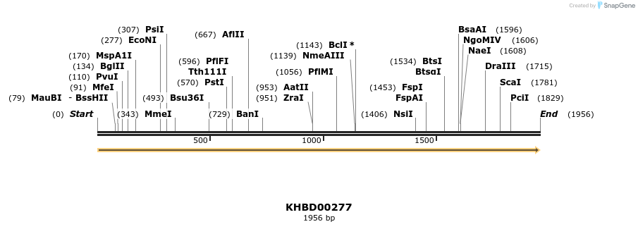 40971_map