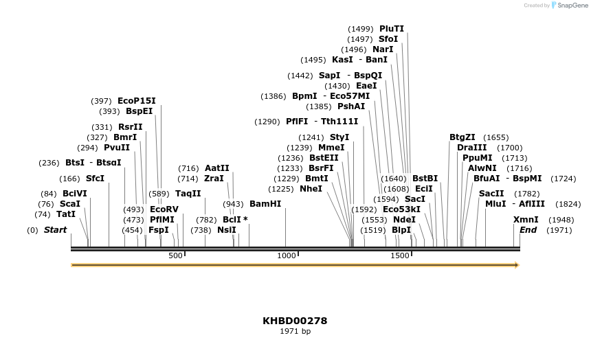 40972_map