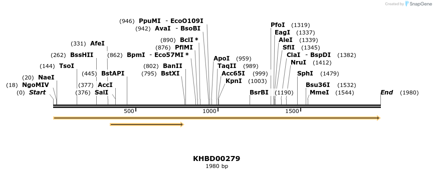 40973_map