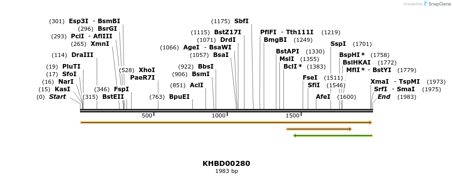 40974_map