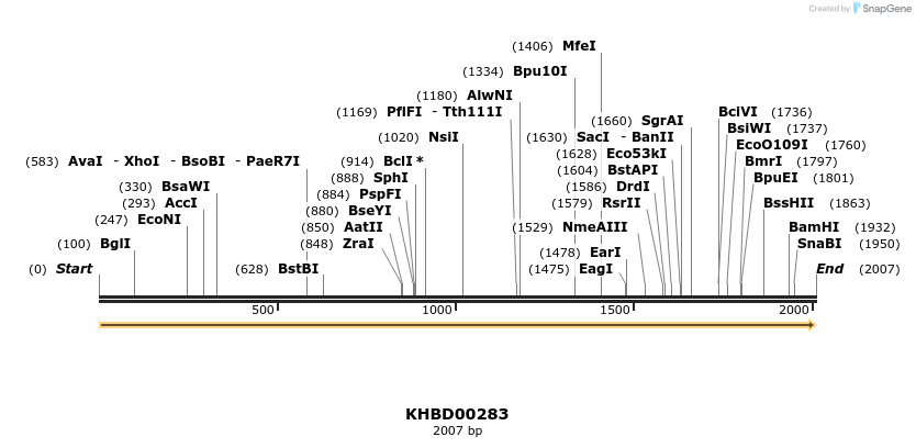 40977_map