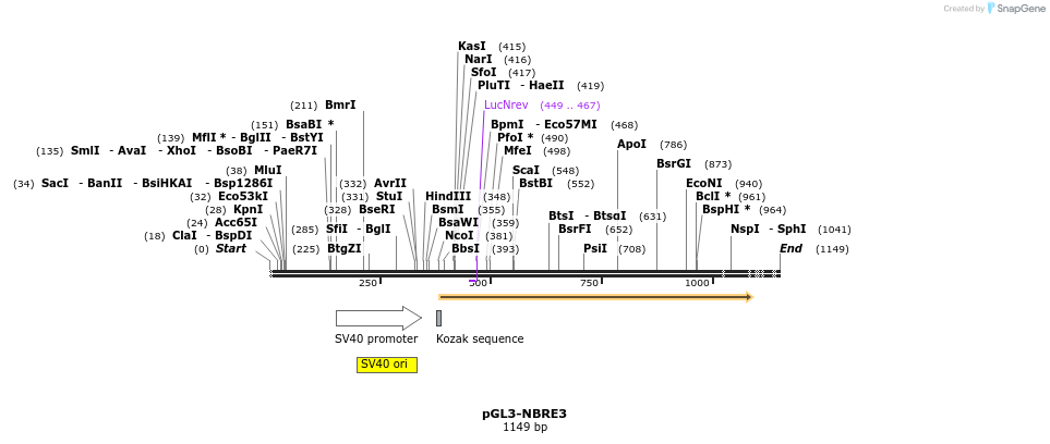 409793_map