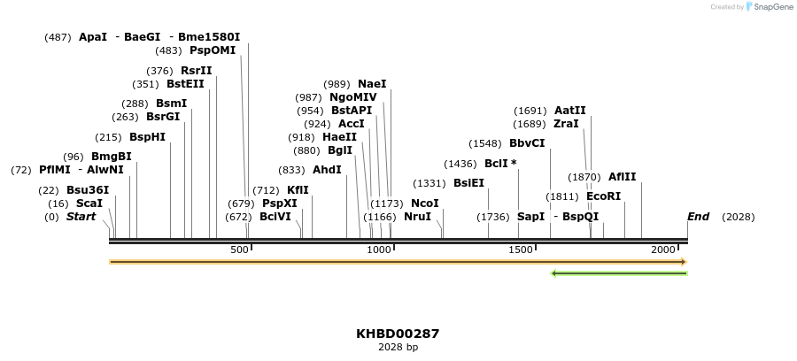 40980_map