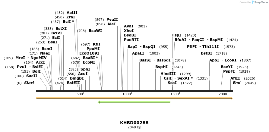 40981_map