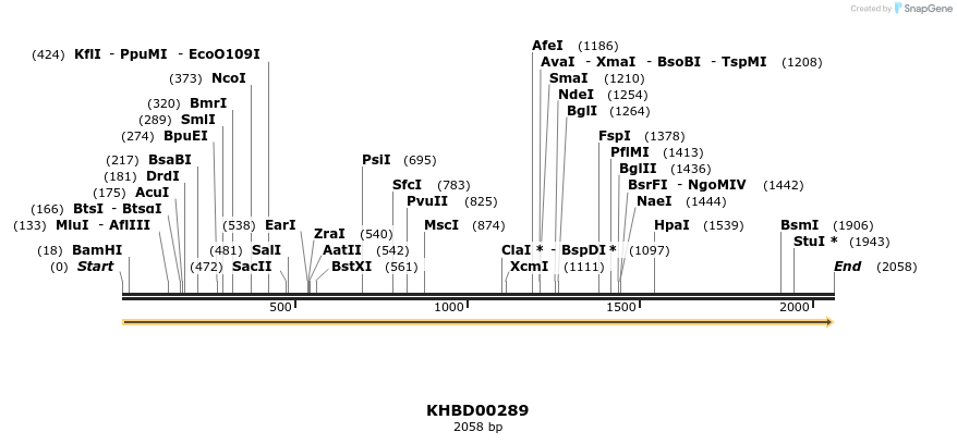 40982_map