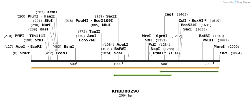 40983_map
