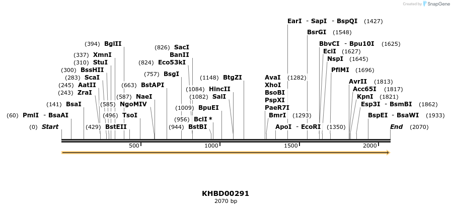 40984_map