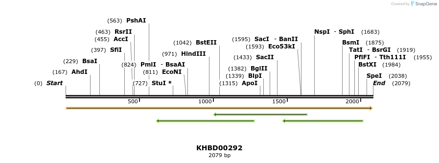 40985_map