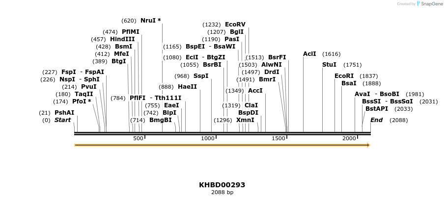 40986_map