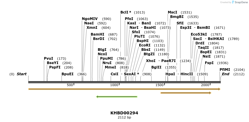 40987_map