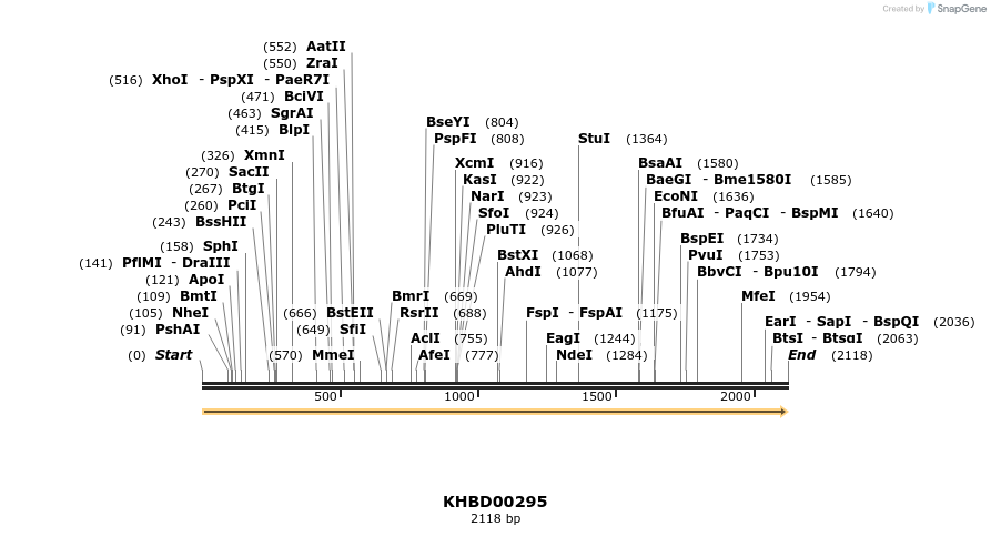 40988_map