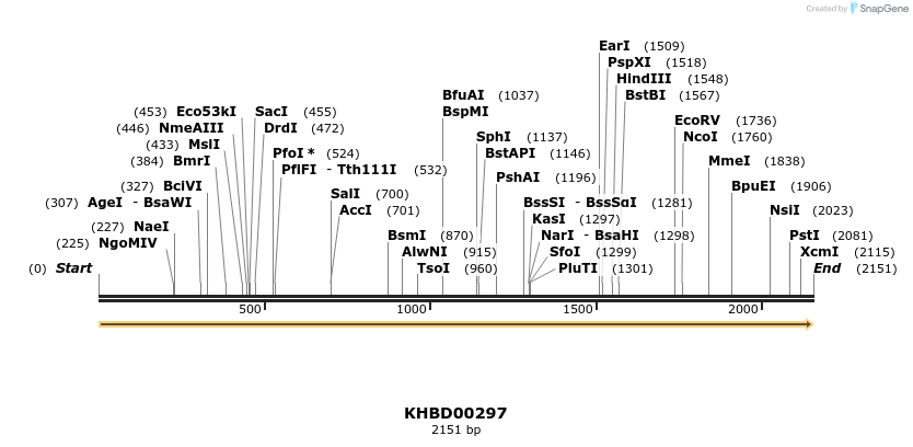 40990_map