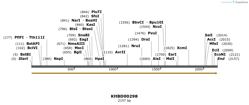 40991_map