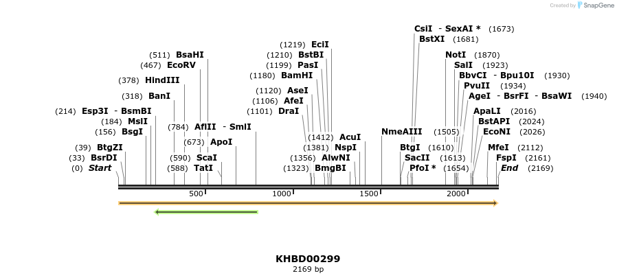 40992_map