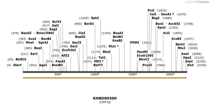 40993_map