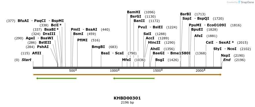 40994_map