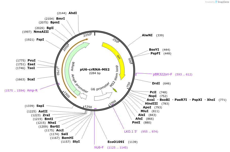 409944_map