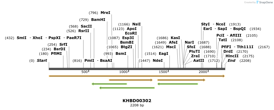 40995_map