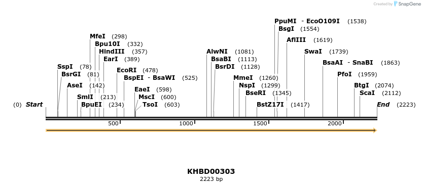 40996_map