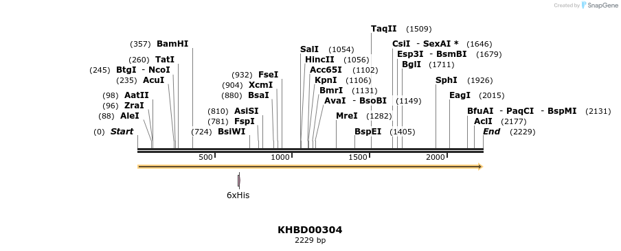40997_map