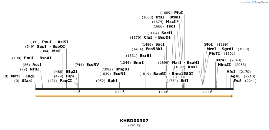 40999_map
