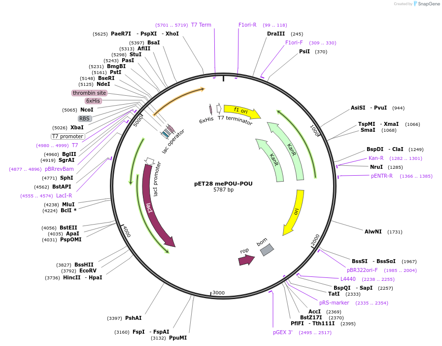 409992_map