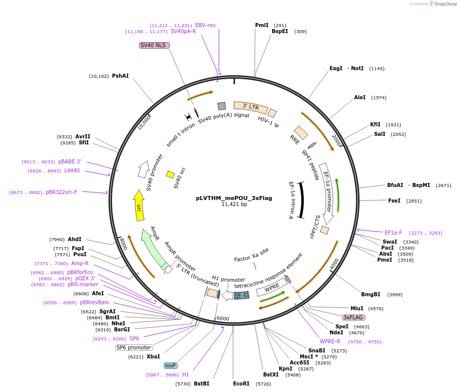 409994_map