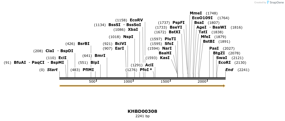 41000_map