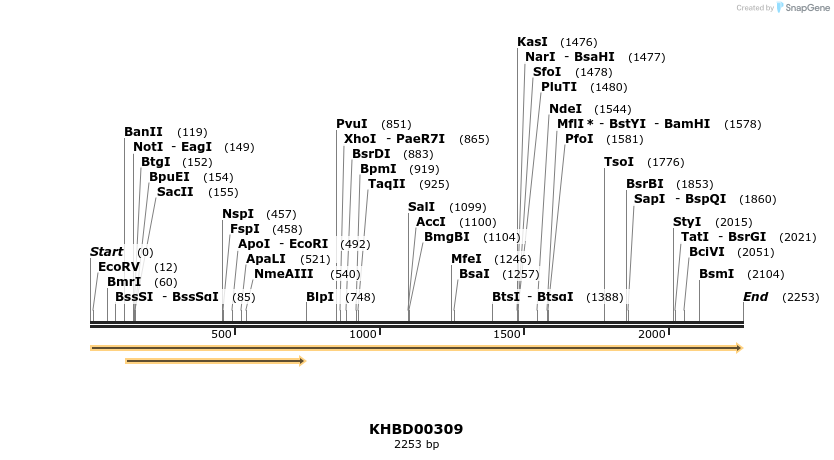 41001_map