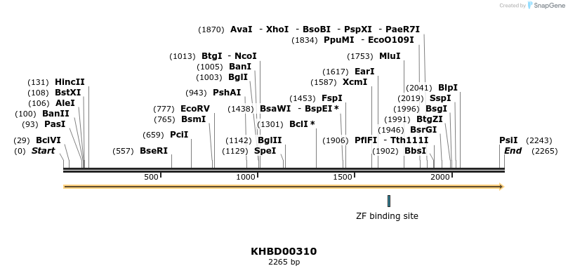 41002_map