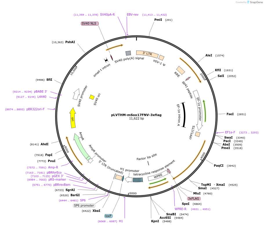 410023_map
